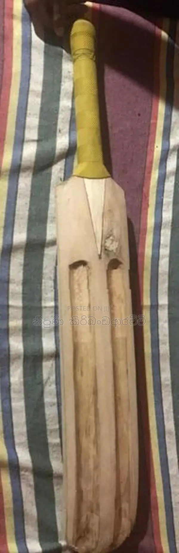 Cricket Softball Bat