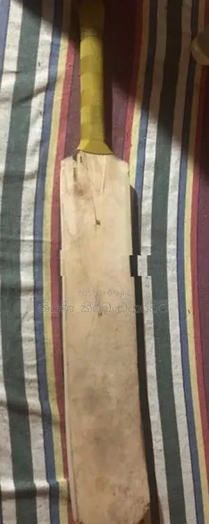 Cricket Softball Bat