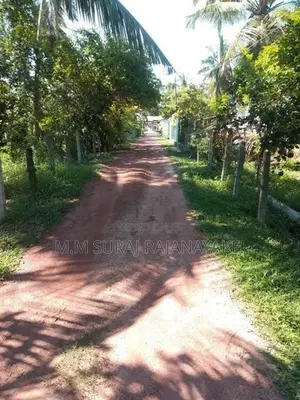 Suitable Land for Sale in Katunayake