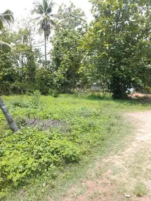 Suitable Land for Sale in Katunayake