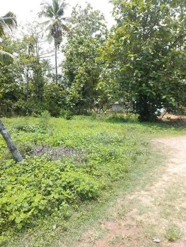 Suitable Land for Sale in Katunayake