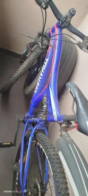 Bicycle