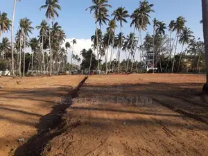 පැල්ලන්දෙණිය හන්දියෙන්ම නේවාසික බිම් කොටස්