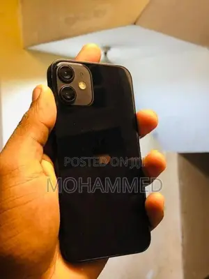 Apple iPhone 12 mini (Used)