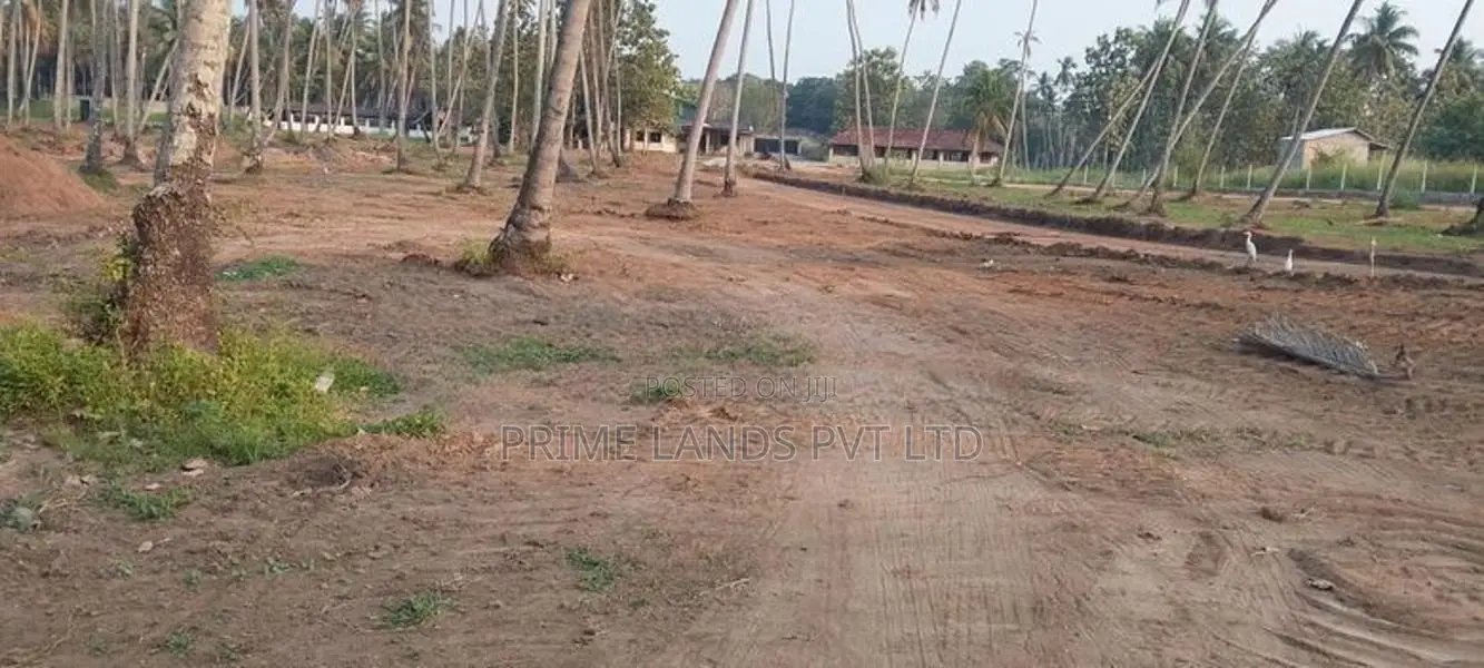 පැල්ලන්දෙණිය හන්දියෙන්ම නේවාසික බිම් කොටස්
