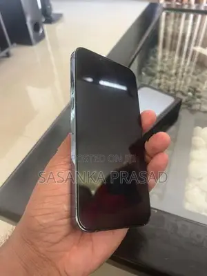 Apple iPhone 13 Pro Max (Used)