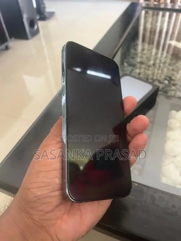 Apple iPhone 13 Pro Max (Used)