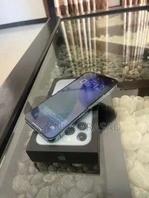 Apple iPhone 13 Pro Max (Used)