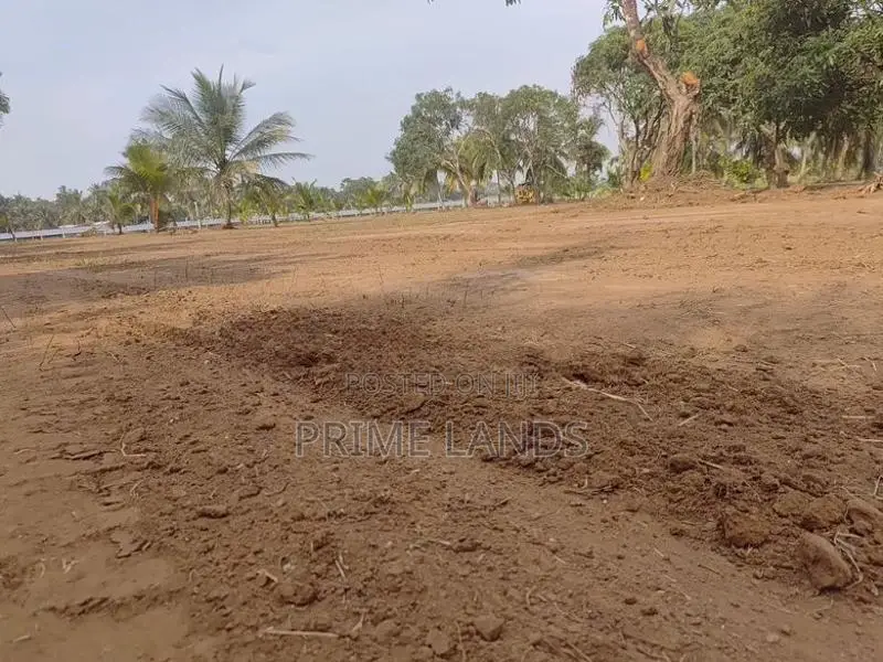 නාච්චාදූව නගරයෙන්ම සුන්දර පරිසරයකින් ඉඩමක්