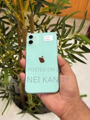 Apple iPhone 11 128GB (Used)