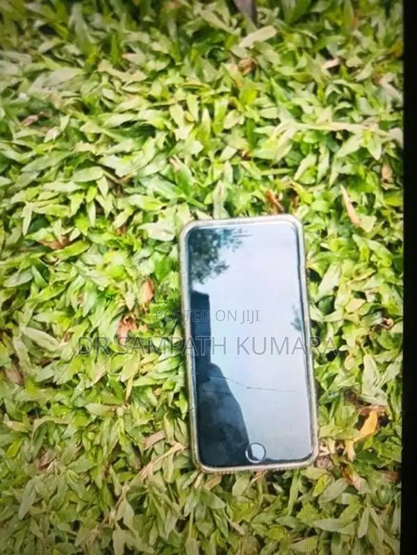 Apple iPhone 7 (Used)