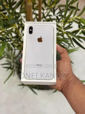 Apple iPhone XS Max 64GB (Used)
