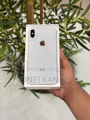 Apple iPhone XS Max 64GB (Used)