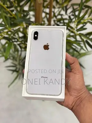 Apple iPhone XS Max 64GB (Used)