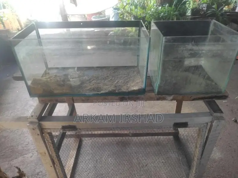 Fish Tank