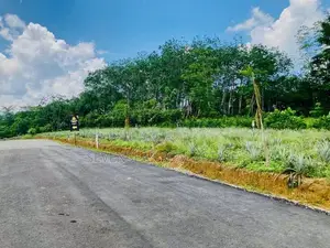 Best Land in Ehaliyagoda