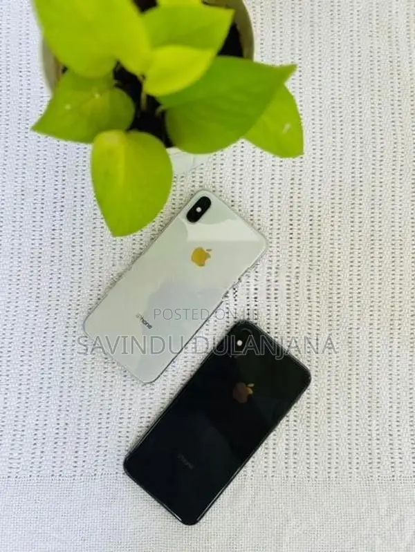 Apple iPhone X 256GB (Used)