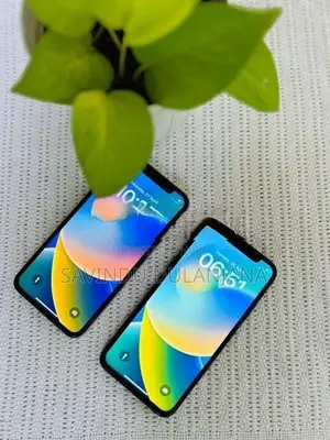 Apple iPhone X 256GB (Used)