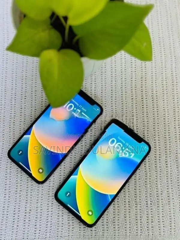 Apple iPhone X 256GB (Used)