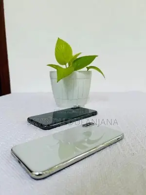 Apple iPhone X 256GB (Used)