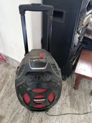 Speaker
