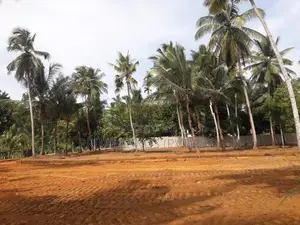අලව්ව ඉඩමක්