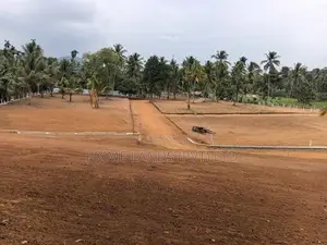 අලව්ව ඉඩමක්