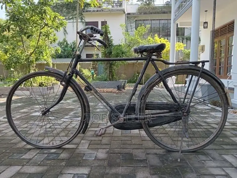 Lumala Bicycle