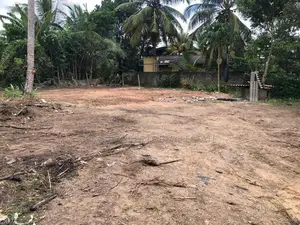Valuable Land for Sale in Piliyandala