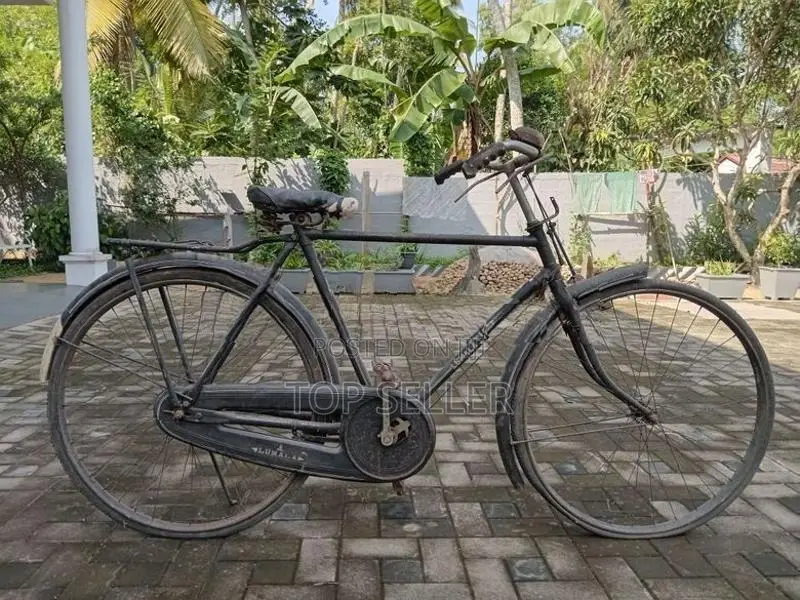Lumala Bicycle
