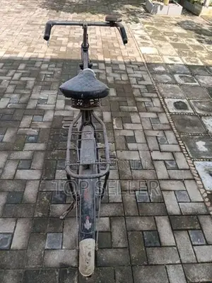 Lumala Bicycle