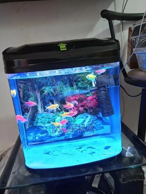 Fish Tank