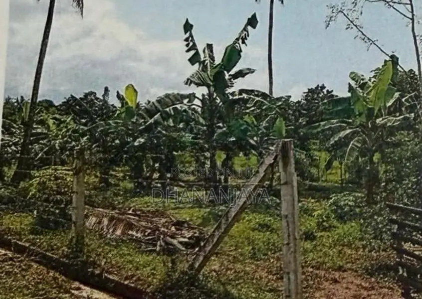 Residential Land at Bulathgamgoda Bemmulla