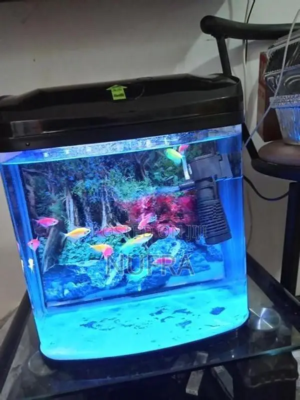 Fish Tank