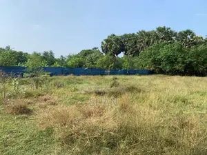 யாழ் நெல்லியடியில் காணி விற்பனைக்கு