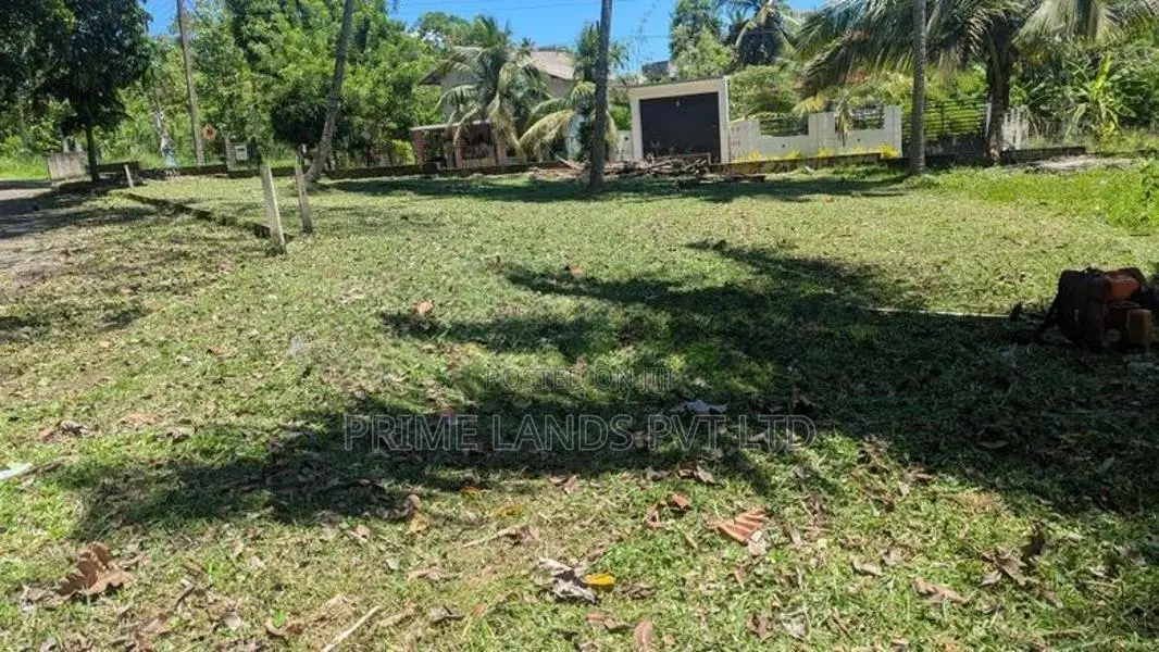 Kurunegala Dambulla Road Yaggapitiya Lands