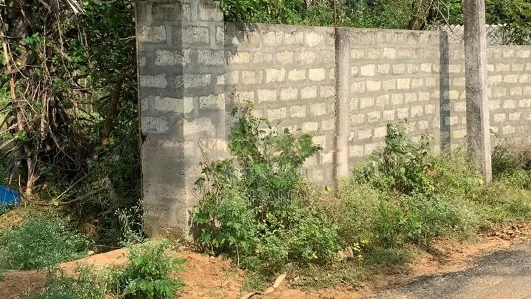 யாழ் நெல்லியடியில் காணி விற்பனைக்கு
