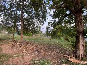 ඩෙල්ගොඩ මහේන පාරේ පර්චස් 24 ඉඩම විකිණීමට