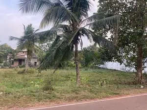 ඩෙල්ගොඩ මහේන පාරේ පර්චස් 24 ඉඩම විකිණීමට