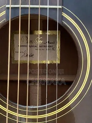 Rumbler MR-1 Guitar