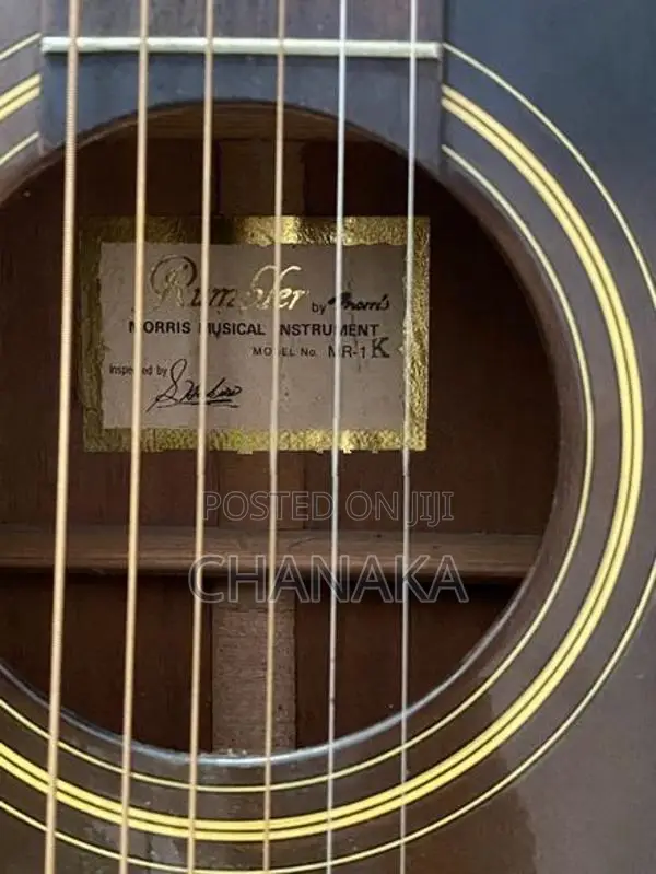 Rumbler MR-1 Guitar