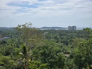 Prime 588P Sea View Land for Sale in Weligama | SL14796