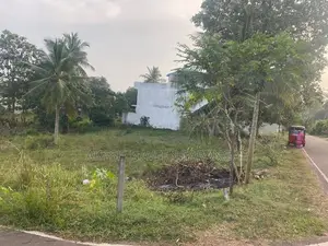 ඩෙල්ගොඩ මහේන පාරේ පර්චස් 24 ඉඩම විකිණීමට