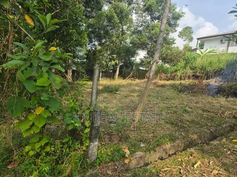 12 Perches Residential Bare Land For Sale Kahanthota