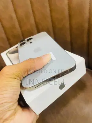 Apple iPhone 15 Pro Max 256GB (Used)