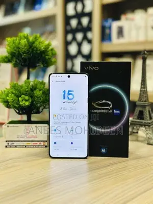 Vivo V50 256GB (Used)
