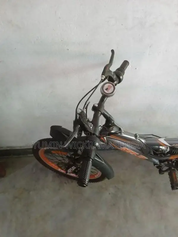 Lumstar Mountain Bicyle
