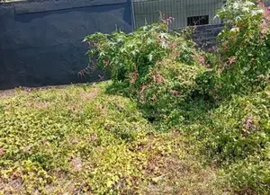 Nuwara Eliya Spencer Park 10 Perches Land for Sale
