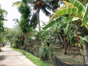 Land for Sale in Kadawatha