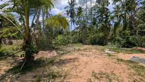 Land for Sale in Yakkala